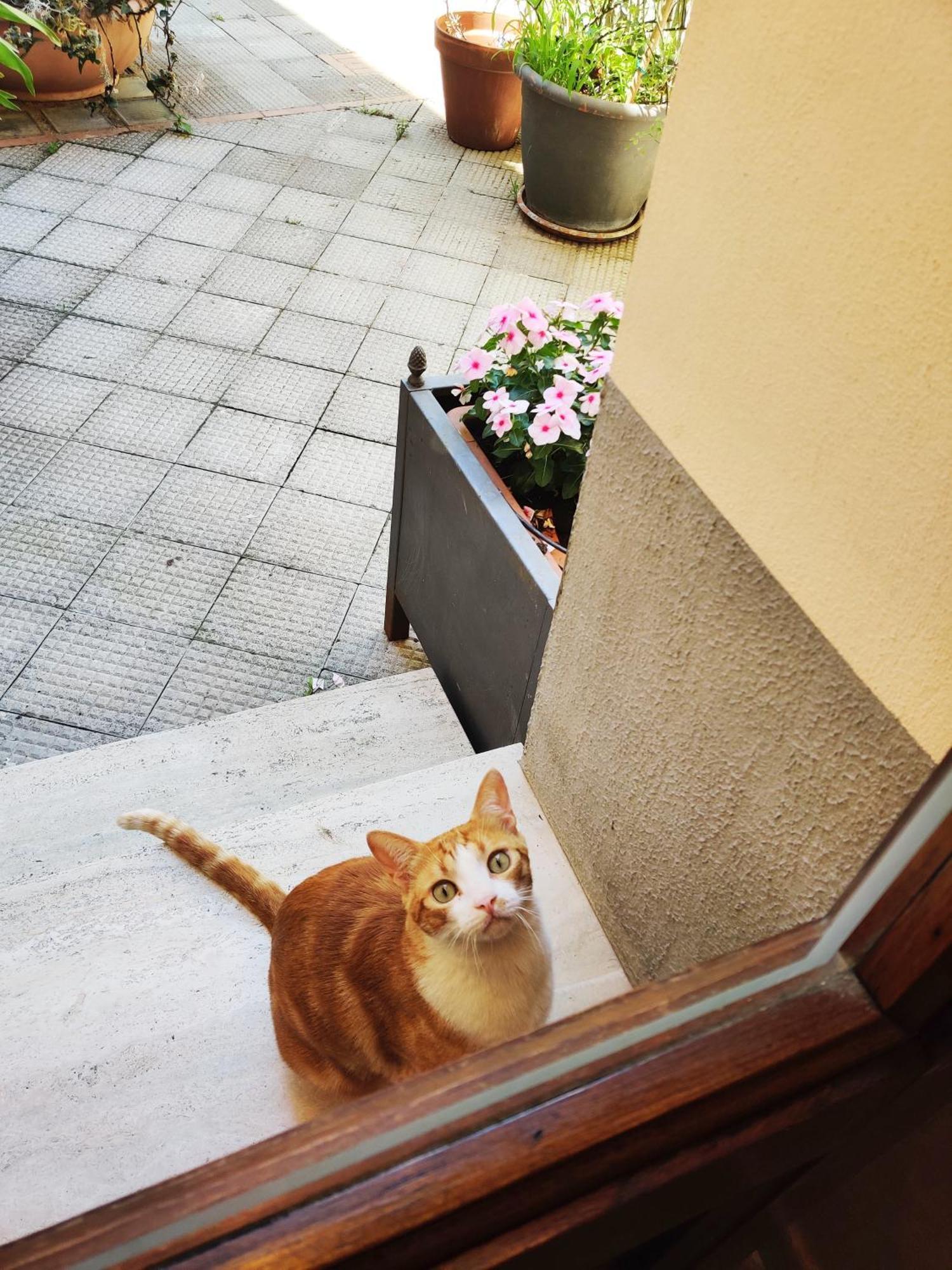 B&B Gattacicova Cava deʼ Tirreni Habitación foto